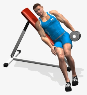 One Arm Incline Bench Lateral Raise Involved Muscles - Arm