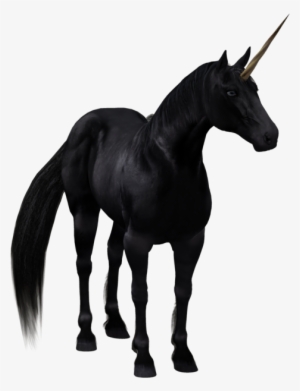 The Black Horse Background Transprent Png - Black Unicorn With No Background