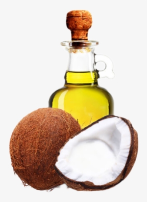 Black And White Stock Activa - Coconut Oil Vector Png