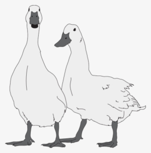 Tags - - Goose Pet Clipart