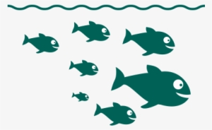 The Eqa River Generates Clean Energy From Free Flowing - Coral Reef Fish