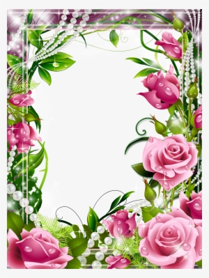 A Frame Background, Pink Roses, Png Photo, Borders