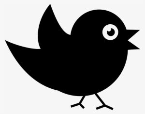 Bird Of Black Feathers Comments - Pajarito Blanco Y Negro