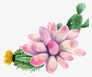 Pinturas De Plantas Suculentas
