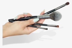 Morpheme - Brush Make Up Png