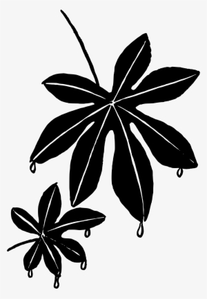 This Free Icons Png Design Of Leaf Drip