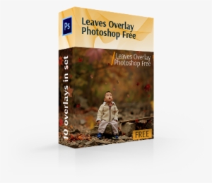 Leaves Overlay Photoshop Free Cover Box - Herbst-farben, Dankbares Foto Kissen