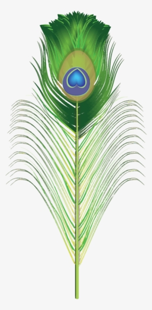 Photoshop Clipart Blue Feather - Peacock Feather Clipart Png