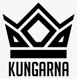 Team Information - Kungarna Overwatch