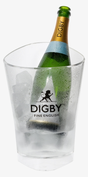 Ice Bucket - Champagne