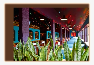 Live Mariachi Band @ Dos Comales - Floral Design