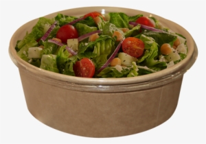 Wt Baking Salad Bowl/rice Bowl - Salad