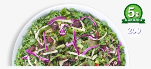 Available At These Fine Retailers - Cruciferous Vegetables