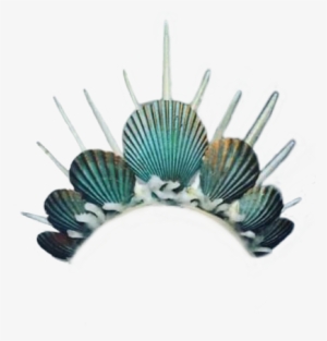 Report Abuse - Coroa De Conchas Png