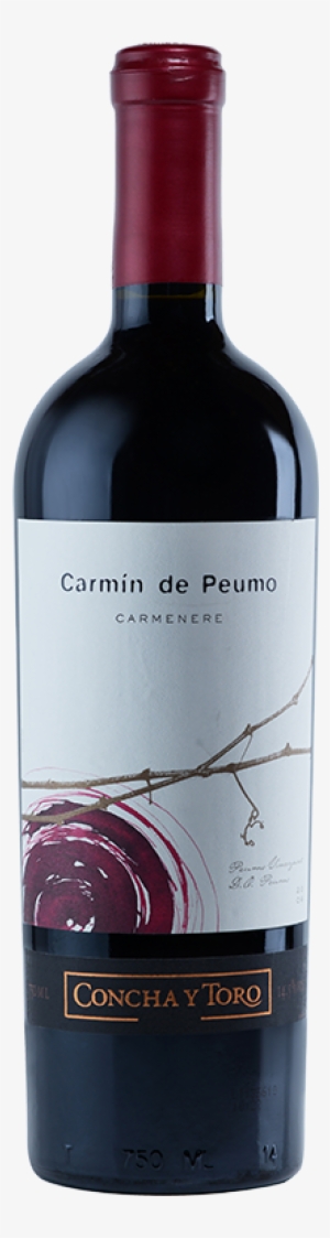 Concha Y Toro, Carmin De Peumo, 2009, Rapel Valley - Chateau La Chenade Lalande De Pomerol