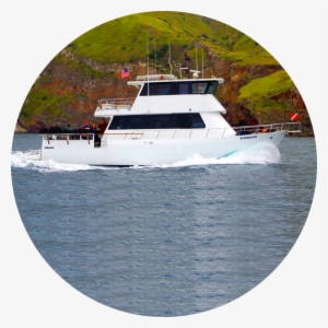 Fun And Safety Are Core Values For Our Dive Charters - Tomb On The Banks Of The Volga