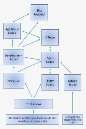 If You Would Like To Book Onto A Course Of Diving Lessons - Diagram