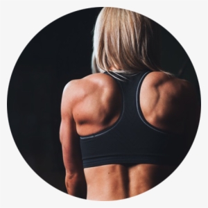 Woman Back Circle - Dumbbell Exercises-shoulders Amp Arms Laminated Posterchart