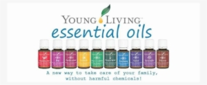 Young Living