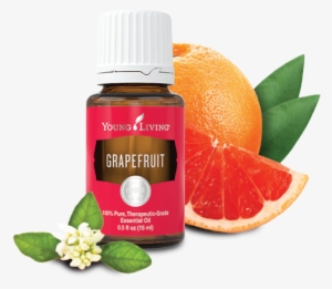 Young Living Grapefruit Essential Oil 15 Ml