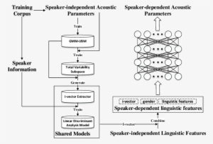 The Average Voice Model Framework Used In This Work, - Feature