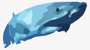 Great White Shark Clip Art - Free Shark Vectors Transparent