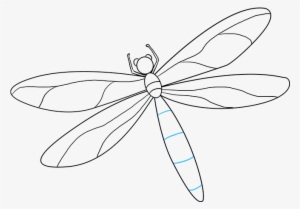 How To Draw A Dragonfly Really Easy Drawing Tutorial - Drawing