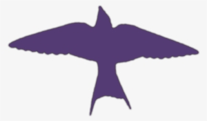 Barn Swallow Silhouette 7jul10 Kjm9657-24c Clr - Barn Swallow