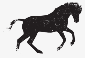 ❁ Gender - Horse Vector Free Png