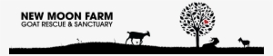 New Moon Farm - New Moon Farm Goat Rescue And Sanctuary