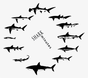The Updated Shark Minutes Logo And T-shirts Are Here - Jaws
