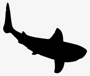 Shark Rubber Stamp - Braselton