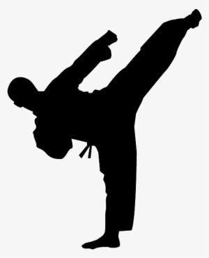 Karate Kick Png Photo - Karate Silhouette - 503x641 PNG Download - PNGkit