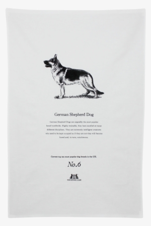 Official Crufts & Kennel Club Cushion German Shepherd