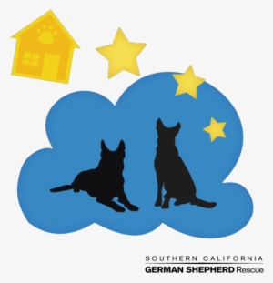 Scgsr Make A Doggie Wish Campaign - Black Cat