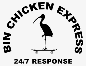 Brain Awareness Week 2011