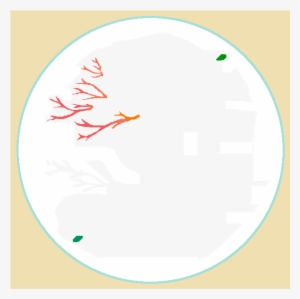 Https - //ctl - S6img - Com/society6 700/prints/~artwork/s6 - Circle