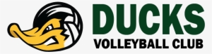 Http - //www - Ducksvolleyball - Ca/test/wp Ducks Logo - Autumn