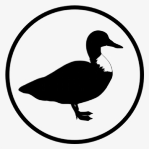 Duck Rowing - Duck For Logo Png