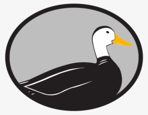 Logo Logo Logo Logo Logo - Cygnini