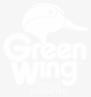White, Download - Ducks Unlimited Greenwing