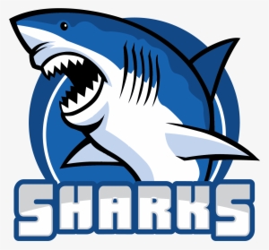 Bq Tball Teamlogo V05 Sharks1 - Tiger Shark
