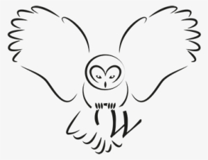 Willows Bird Of Prey Centre - Simple Drawings Of Owls