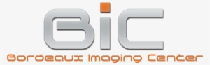 Logo Bic - Orange