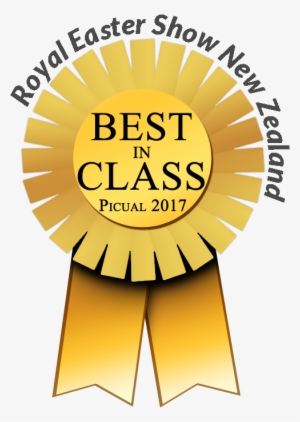 Royal Easter Bic - Dr. Rafael Belloso Chacin University