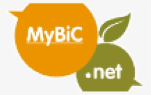 Dual Action 6 5 Yellow Cutting Pad Pack