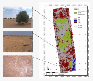 Land Use Map Of Ben Gardane On The Basis Of Avis 2 - Ben Gardane