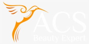 Logo Acs - Electronics