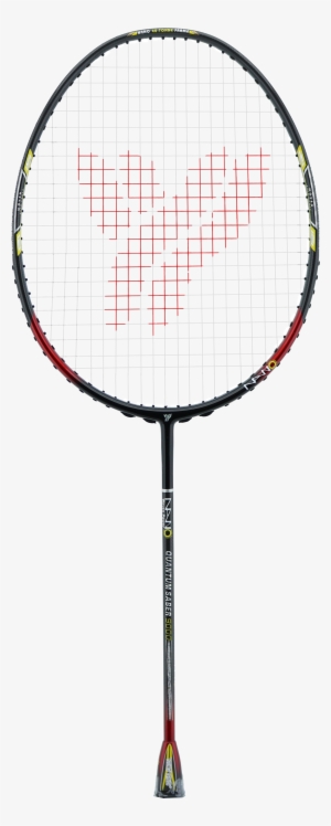 Quantum Saber - Raket Yang Yang Rapier 20