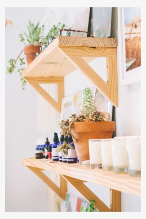 Freda Shelves Gallery 1